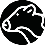  Exporters Of Frozen Beef