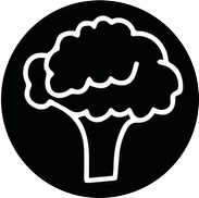  Exporters Of Frozen Vegetables